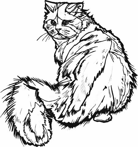 Animal Coloring Pages From Your Pet To Farm Animals To The Jungle