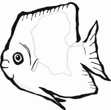 fish coloring pages. Angel Fish