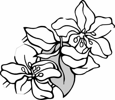 Flowers Coloring Pages