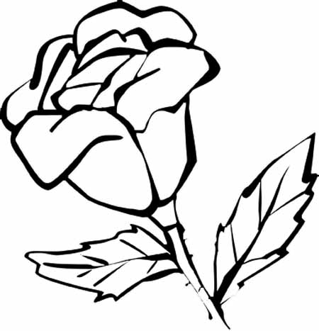 images of coloring pages of flowers - photo #42