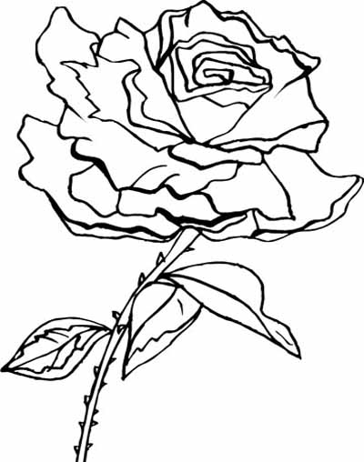 flower coloring pages. Beautiful Flower Coloring