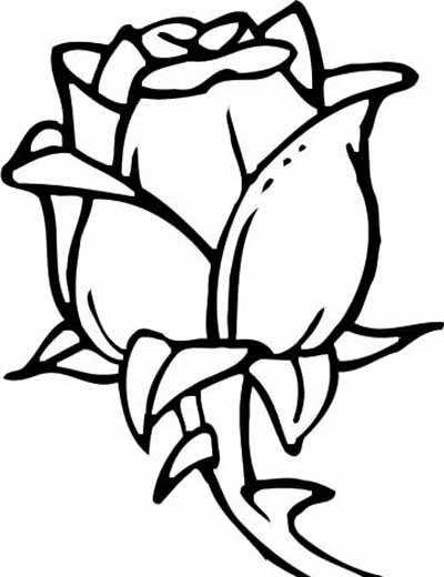 Free Coloring Pages Roses. Rose Bud