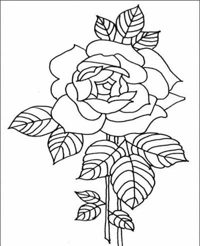 Flower Coloring Pages on Flowers Coloring Pages For Kids    Images Photos Pictures