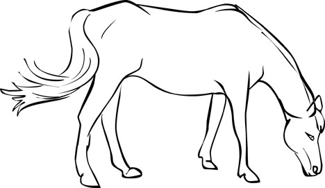 Free Horse Coloring Pages Mustang