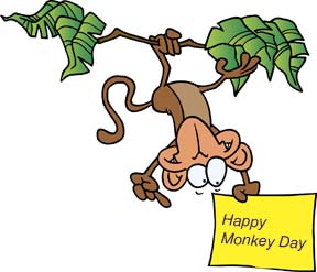 funny monkey story