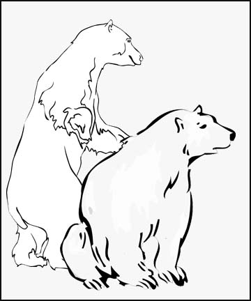 Polar Bear Coloring Pages For Young Children Who Love To Be Creative.