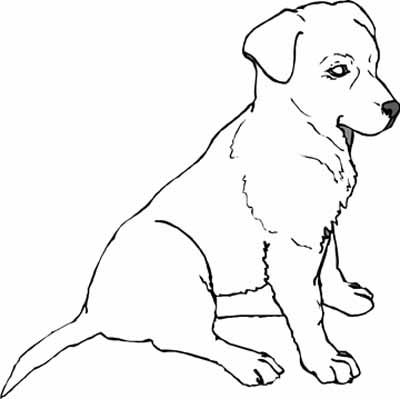 Coloring Puppy Pages