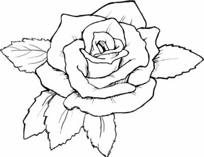 Free Coloring Sheets on Rose Coloring Pages With Subtle Shapes And Forms  Can Be Colored With