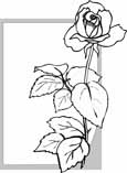 free rose coloring page