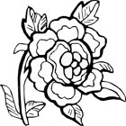 roses coloring pages
