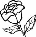 Bonica rose coloring page