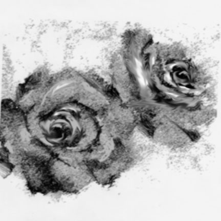 drawings of roses