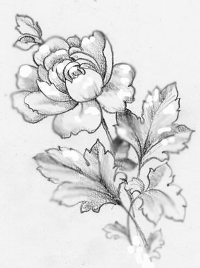 drawings of roses