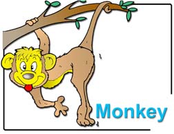 Funny Monkey Story