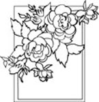 how to draw a rose