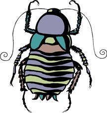 drawing scorpions