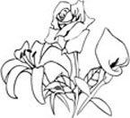 how to draw a rose