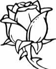 flower coloring pages