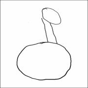 how to draw dragons