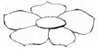 how to draw a rose