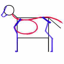 draw animals