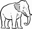 Animal coloring pages