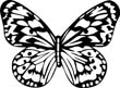 printable butterfly-coloring-sheets