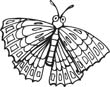 butterfly coloring page