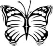 free butterfly coloring pages 