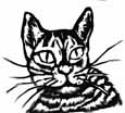 cat coloring pages