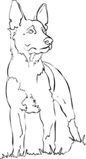 German Shepherd Dog Coloring Pages Sketch Coloring Page