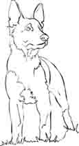 dog coloring pages