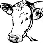 farm animal coloring pages