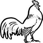 farm animal coloring pages