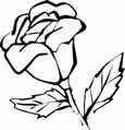 Flower coloring pages