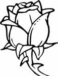 Flower coloring pages