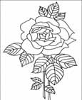 Flower coloring pages