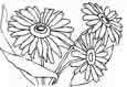 flower coloring-pages