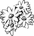 Flowers coloring pages