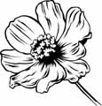 Flowers coloring pages