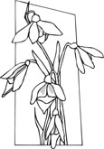 free flower coloring pages