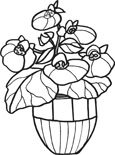 flower coloring pages