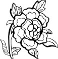 printable flower coloring pages