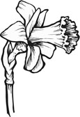 printable flower coloring pages