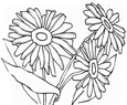 flower coloring pages