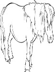 Free Horse Coloring Pages