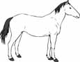 kids horse coloring pages 
