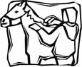 kids horse coloring pages 