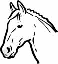 horse coloring pages