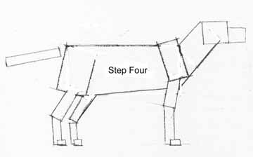 how to draw animals in 6 easy steps